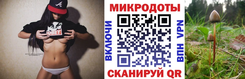 где купить наркоту  Торопец  Галлюциногенные грибы Psilocybine cubensis 